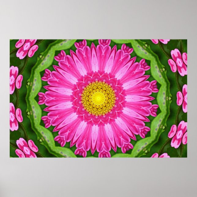 Poster Kaleidoscope Aster (Frente)
