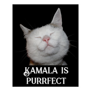 Póster Kamala é Purrfect