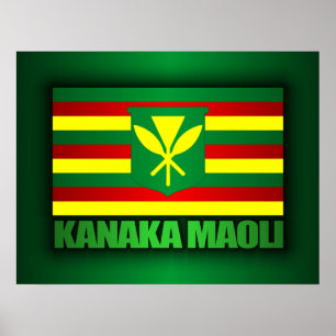 Poster Kanaka Maoli Flag
