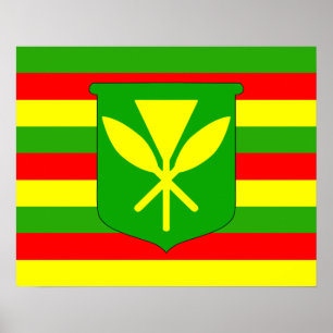 Poster Kanaka Maoli Flag