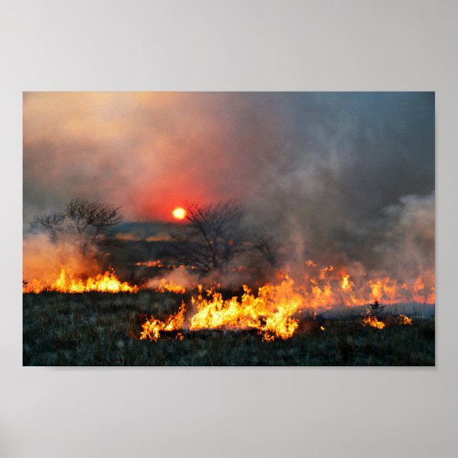 Poster Kansas Prairie Burn em Sunset (Frente)