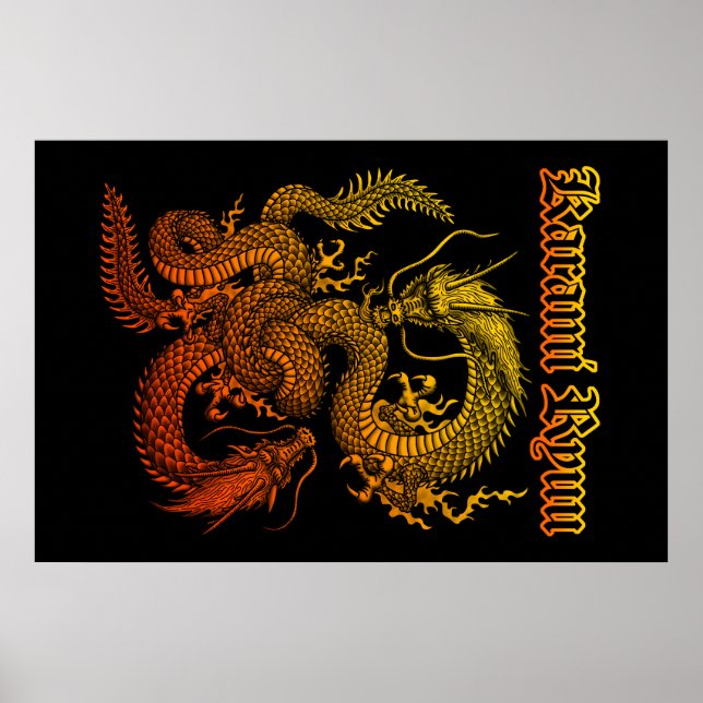 Póster Karami Ryuu 1a (Frente)