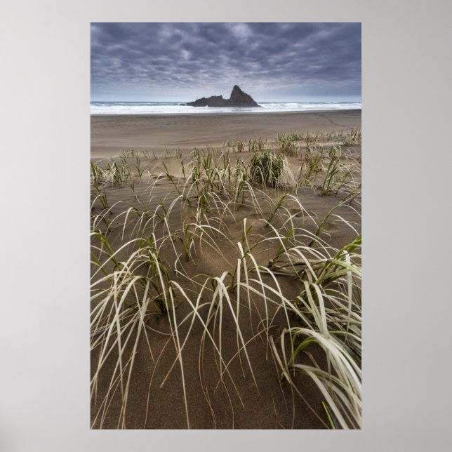 Póster Karekare Beach | Ilha Panatahi, Costa Oeste (Frente)