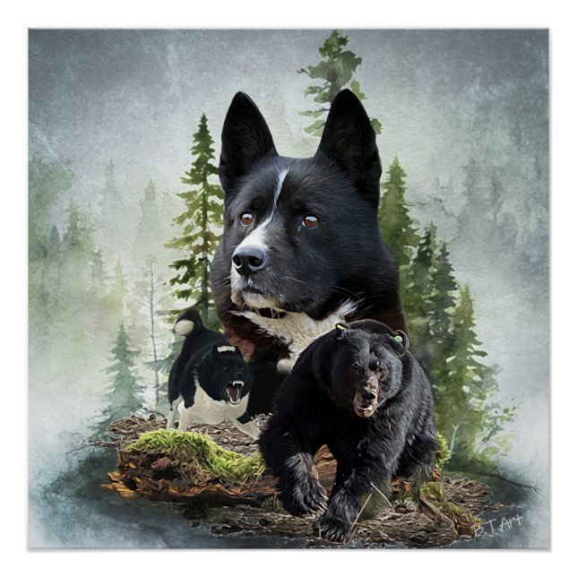 Póster Karelian Bear Dog Tapeçaria (Frente)