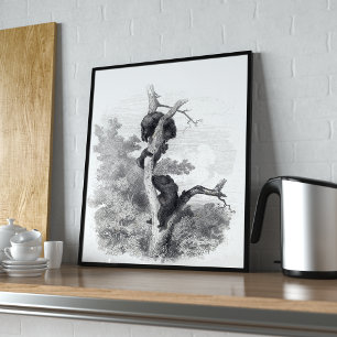 Poster Karl Bodmer, Les Ours (Os Ursos)