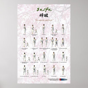 Póster Kata Saifa - versão de GKR