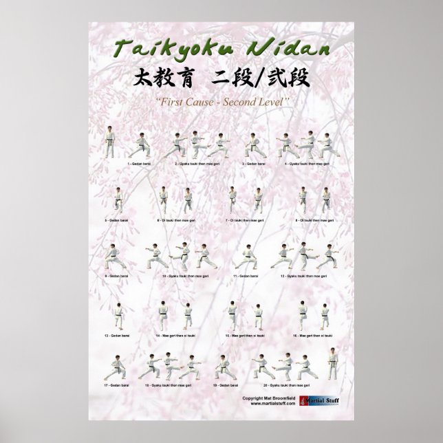 Póster Kata Taikyoku Nidan - Kata segundo (Frente)