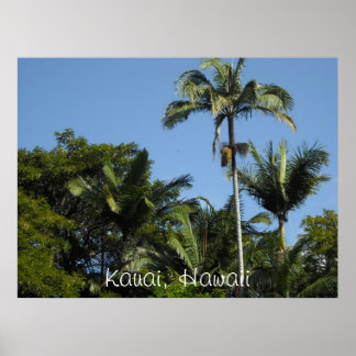 Poster Kauai, Havaí