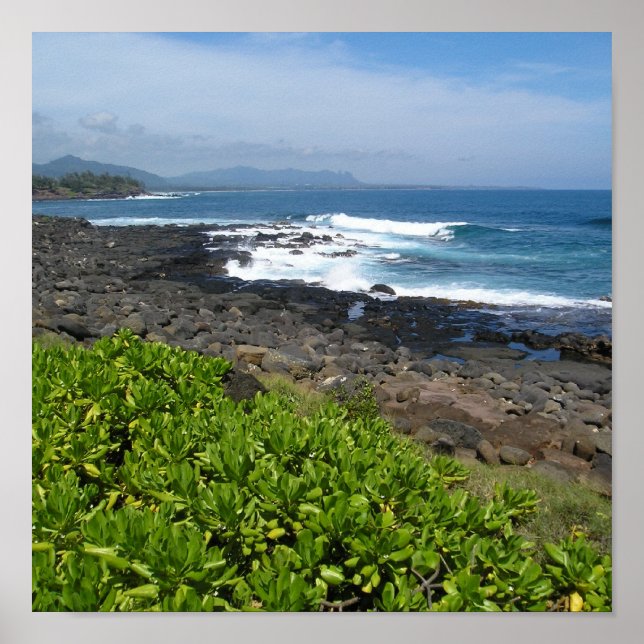 Póster Kauai suculenta 2 (Frente)