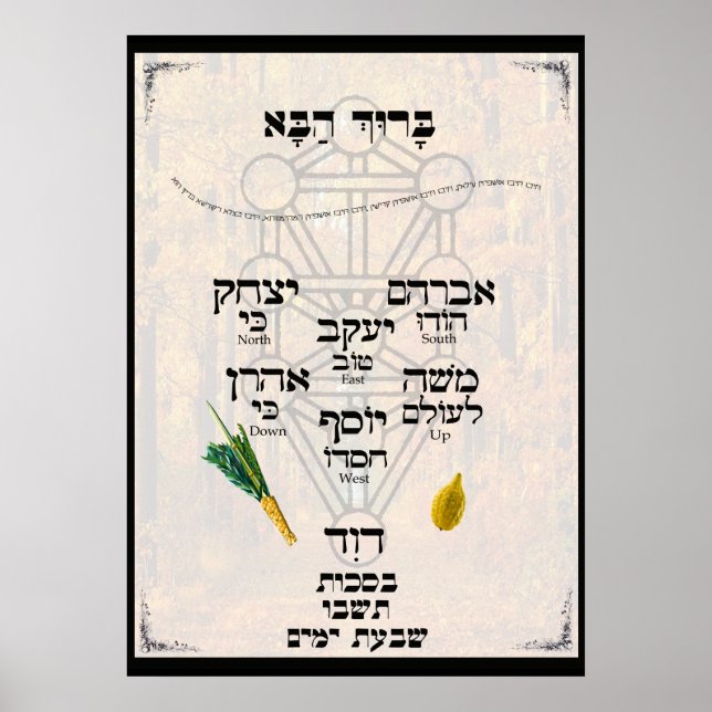 Poster Kavannah para Lulav e Etrog (Frente)