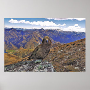 Poster Kea Kountry