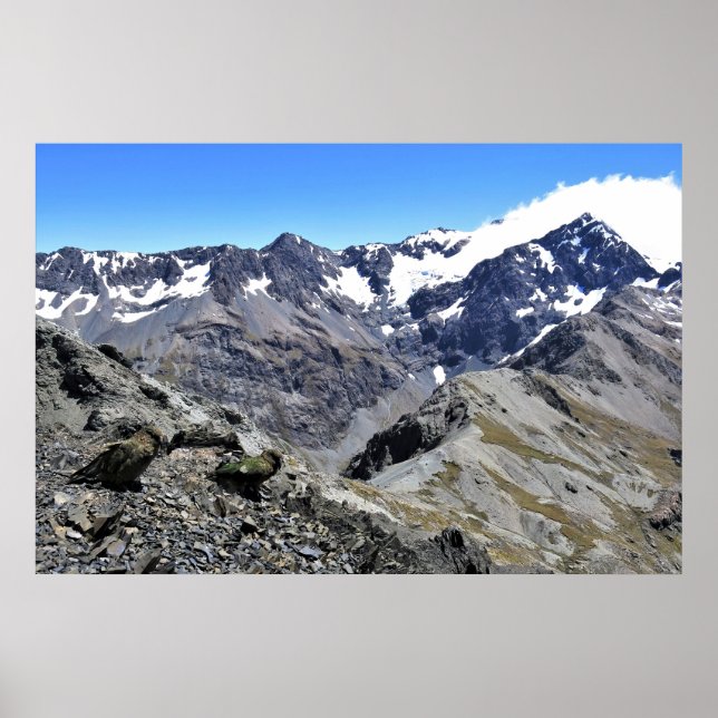 Poster Kea Pair no Pico de Avalanche (Frente)