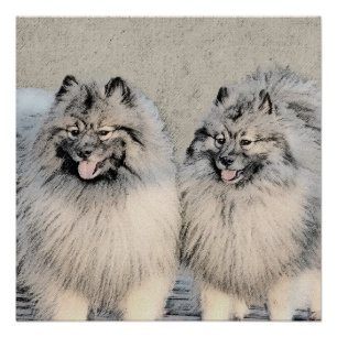 Póster Keeshond Brothers Painting - Arte Original de Cach