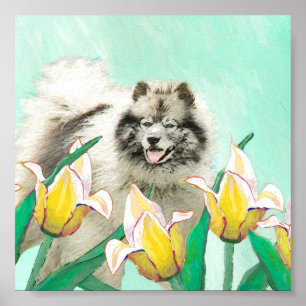 Poster Keeshond em Tulips pintando lindas artes caninas o