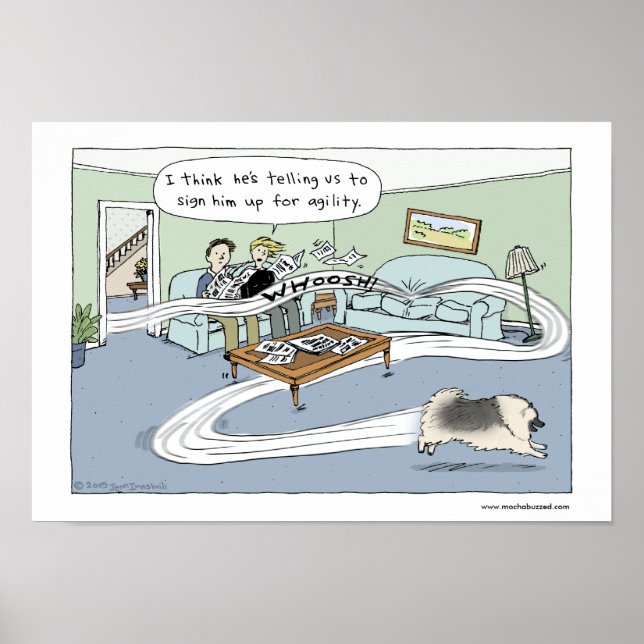 Poster Keeshond "Livingroom Agiliary" (Frente)