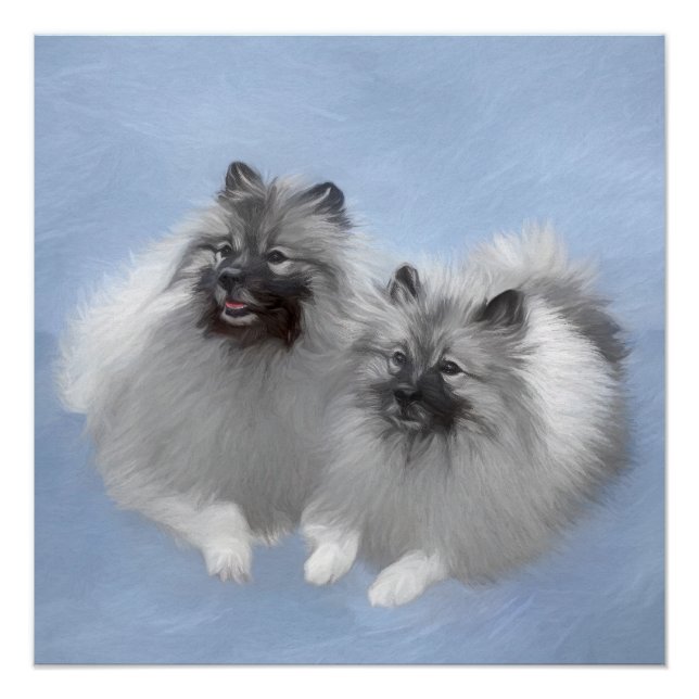 Póster Keeshond Pair de Kees pintando Arte Animal Origina (Frente)