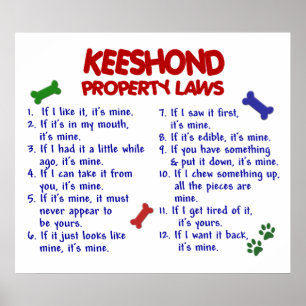 PÓSTER KEESHOND PL2