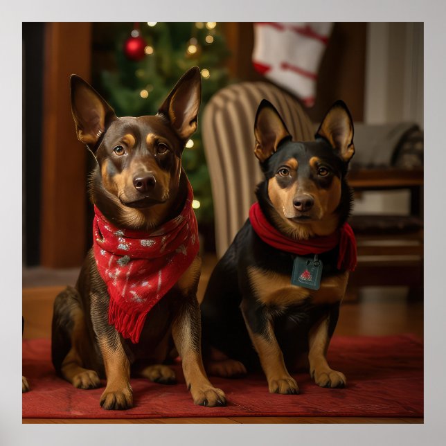 Poster Kelpie australiano no Natal da Lareira (Frente)