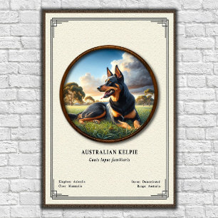 Poster Kelpie Australiano Série de Zoologia