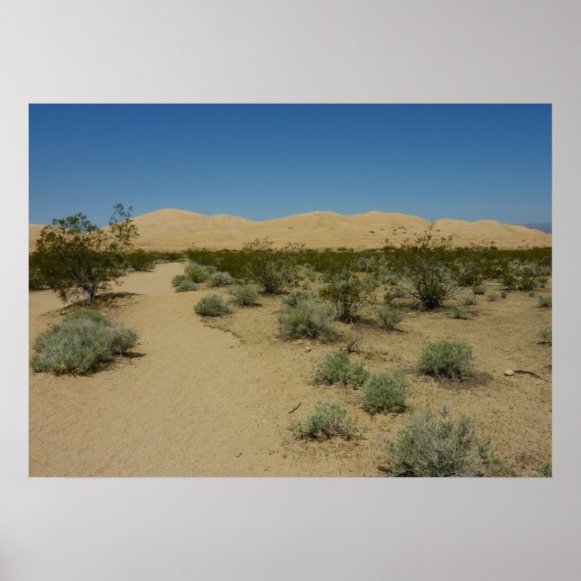 Poster Kelso Dunes no Parque Nacional de Mojave (Frente)