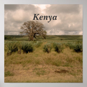 Póster Kenya