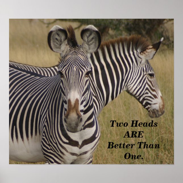 Póster KENYA Zebras Duas Cabeças são Melhores que Uma pos (Frente)