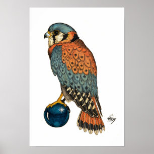 Poster Kestrel americano