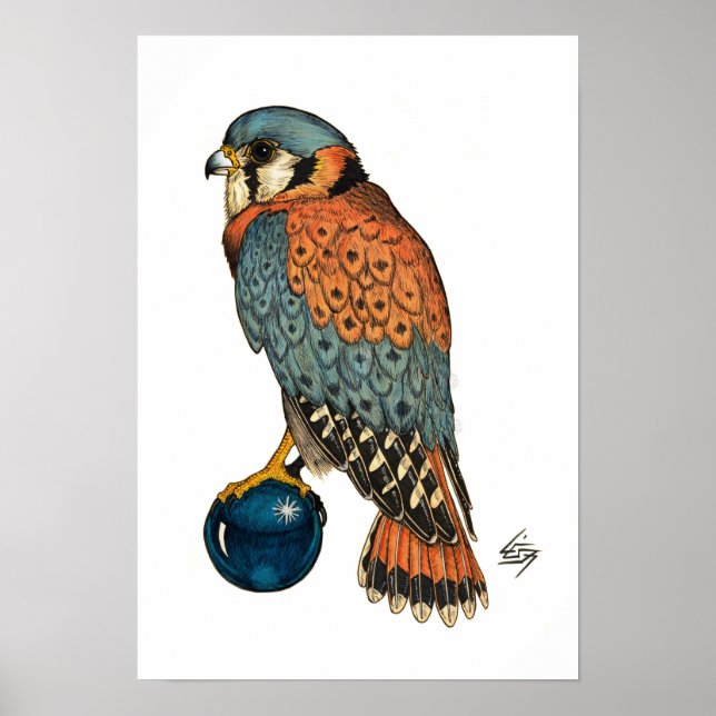 Poster Kestrel Americano (Frente)