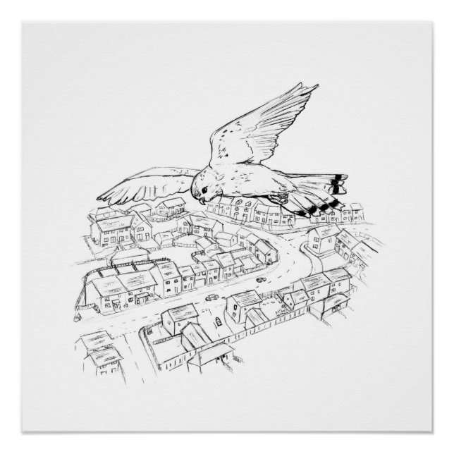 Póster Kestrel sobre imagem/desenho da cidade (Frente)