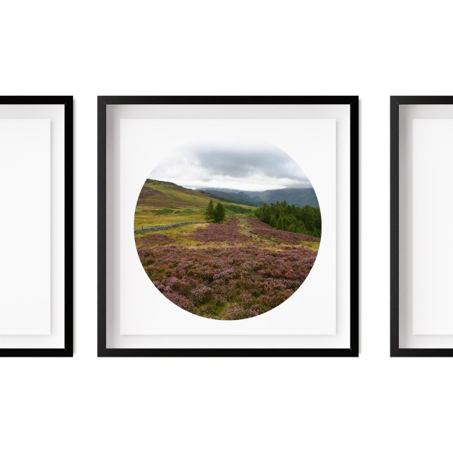 Poster Keswick Lake District Hike Fields of Heather Photo (Criador carregado)