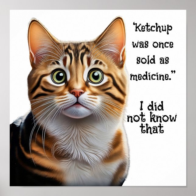 Poster Ketchup vendido como medicamento (Frente)