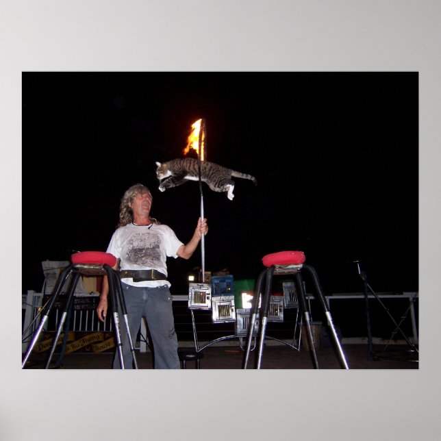 Poster Key West Cat Man (Frente)