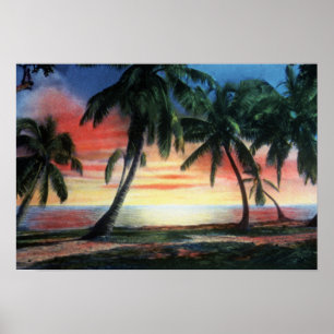 Poster Key West Florida Tropical Sunset