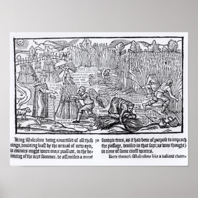 Poster King Malcolm da Escócia (Frente)