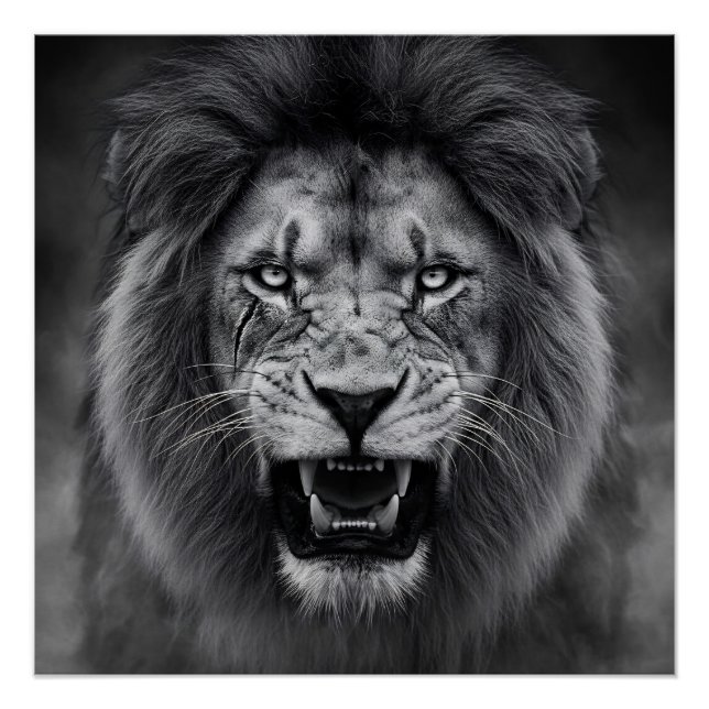 Póster King of the Jungle (Frente)