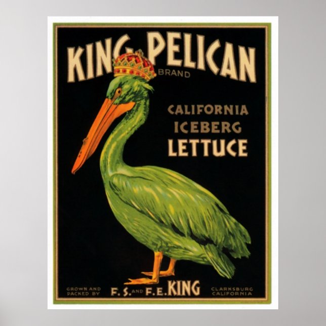 Poster King Pelican Lettuce (Frente)