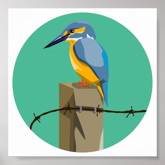 Poster Kingfisher (Frente)