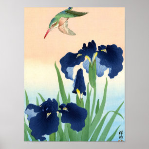 Poster Kingfisher acima de Irises, 1926 por Ohara Koson