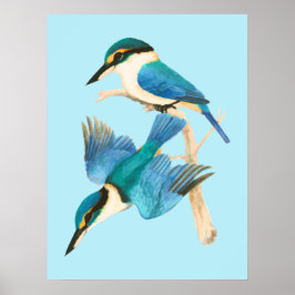 Poster Kingfisher Birds Blue Watercolor