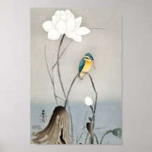 Kingfisher com Flor Lotus - Ohara Koson - 12