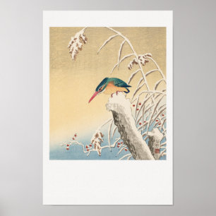 Poster Kingfisher na neve