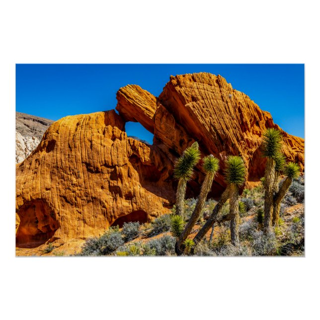 Póster Kissing Turtle Rock Glossy (Frente)