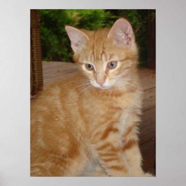 Póster Kit bonito! (Frente)