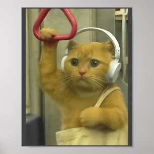 Poster Kit de Humor de Gatos Meme de Gato de Metrô Engraç
