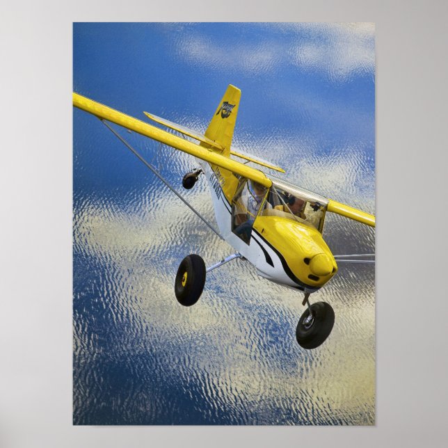Póster Kitfox acima do lago (Frente)