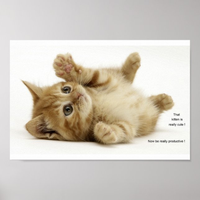 Poster Kitten De Produtividade (KITH) (Frente)