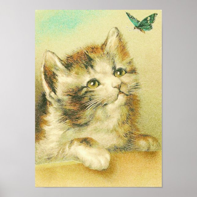 Póster Kitten E Butterfly Vintage (Frente)