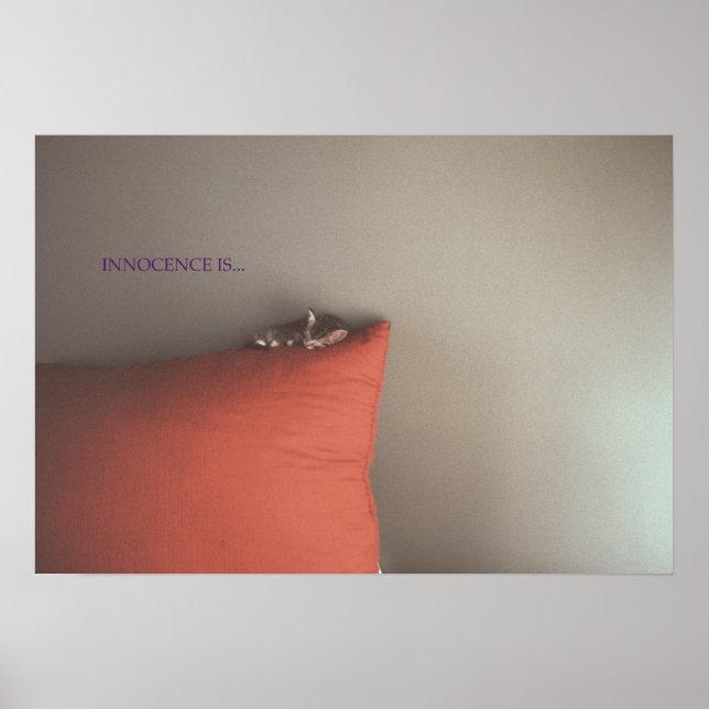 Poster Kitten Em Paz (Frente)