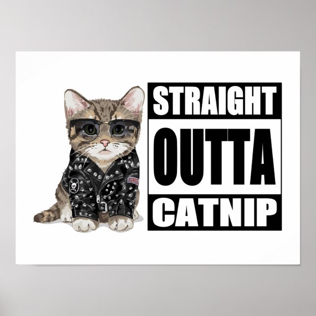 Poster Kitten Hetero Outta Catnip (Frente)