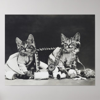 Poster Kitten Mishead Makers 1914